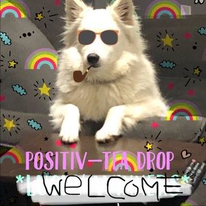 Welcome to Stoic Gym & Closet.